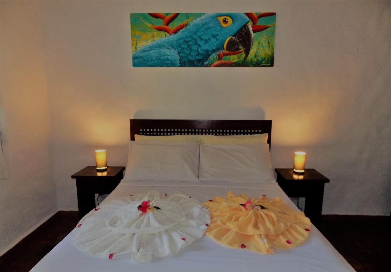 Pousada Zia Teresa Praia de Pipa Room photo